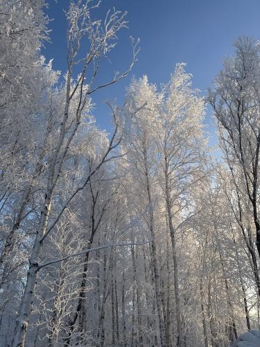 ������ ���