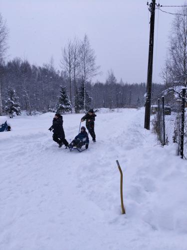 ������ ���� 