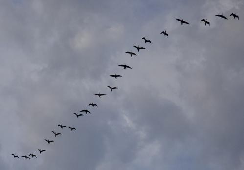 �������� ��������