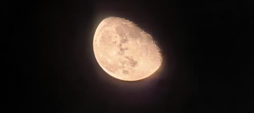 ��������� ����