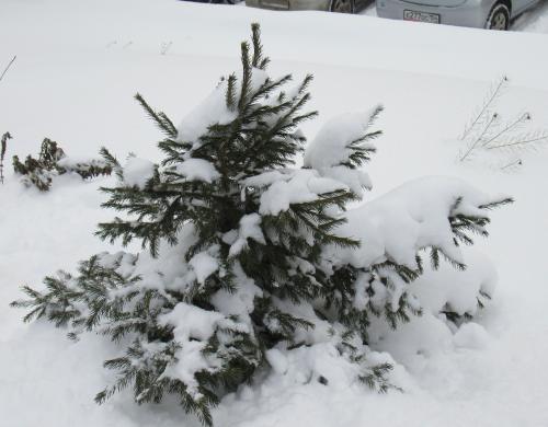 ������ � �����