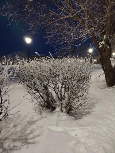 ��������� ����