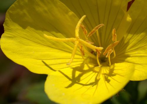 ������� � ������