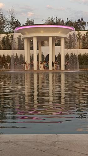 ���� �.�. ���������   ���������