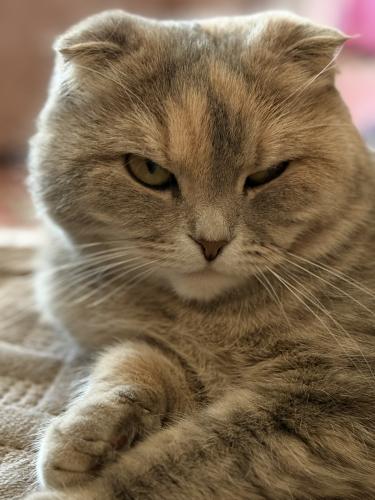 ����� �����, ������� ������!