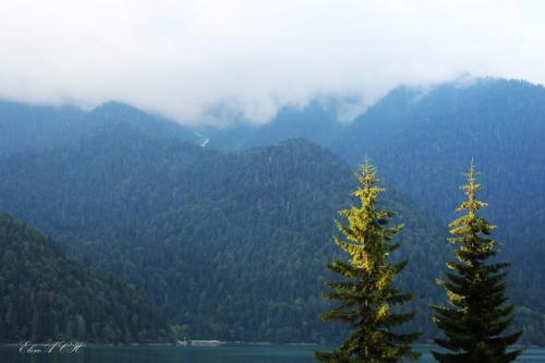 �������