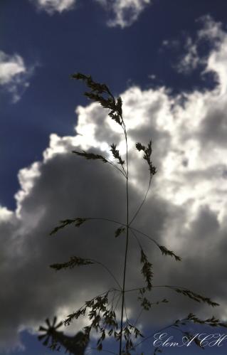 �� ���� ����