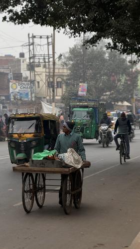 ���� ��������� ������