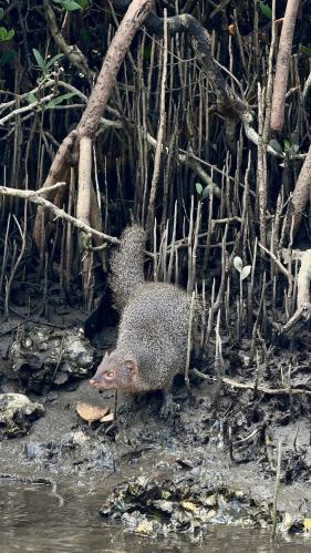 ��������� �����