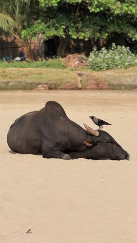 ������� �� ������