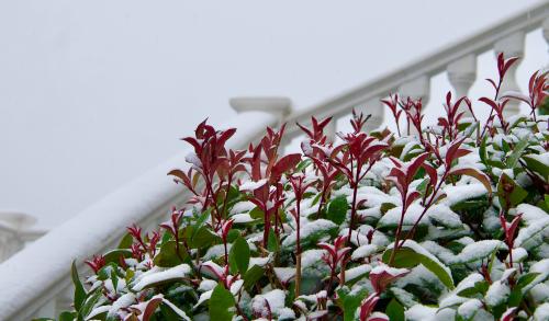 �� �������