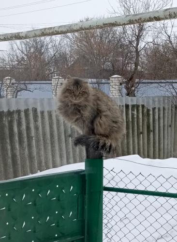 �� ��������