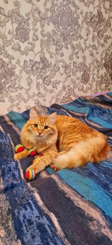 � � ��� � �������� ����! 