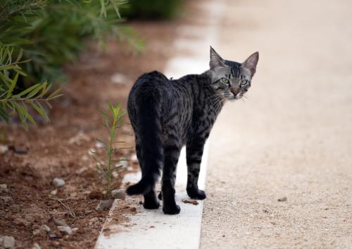 �� �� ���, ������, ���� ��.