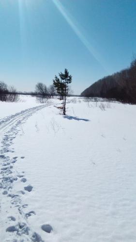 �������� �����