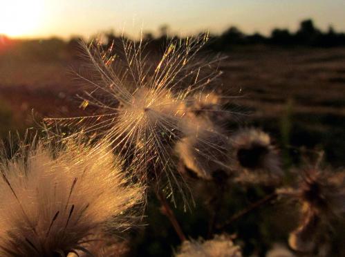 �� ������ ���