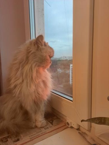 ����� �� ������