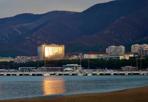 ���� ������ ���