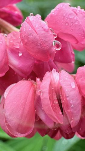 ����� ����� 