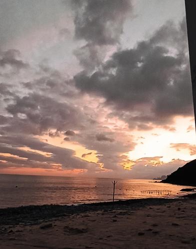 ������ ����. ����