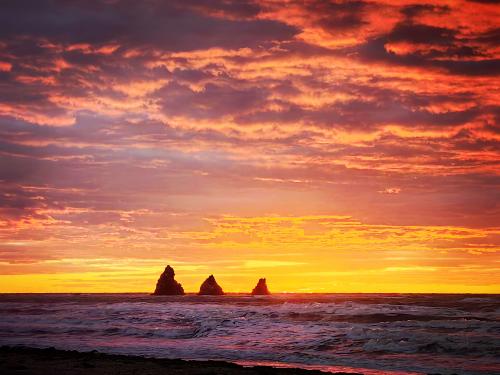 ���� �������������