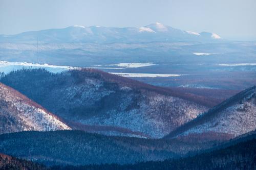 ��������� �������. ����