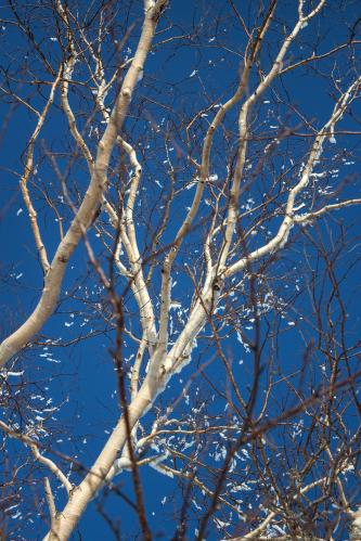 ...� ����� �������