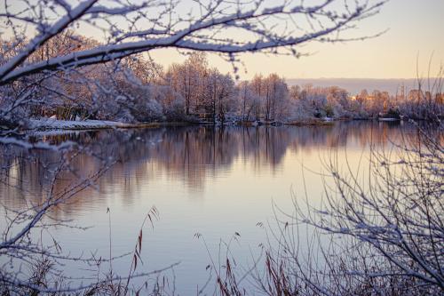 ���� �� �����