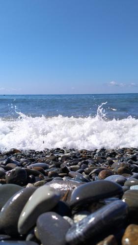 ���� ����������