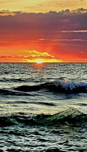 �� ������