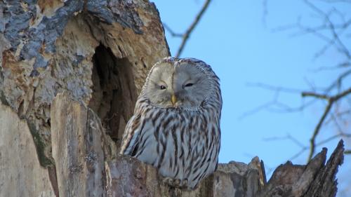 ���������� ��������: ������� �������������