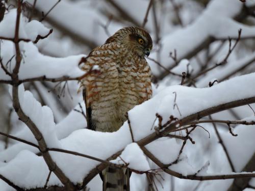 ������������