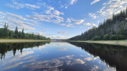 ���������� ��������: 