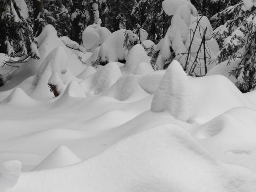 ������� ���������