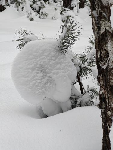 ���� �������!