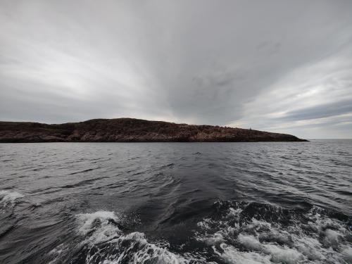 ����� ������, ������...