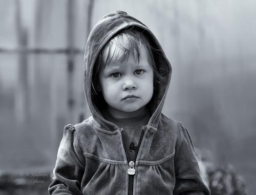 ������� � ��������