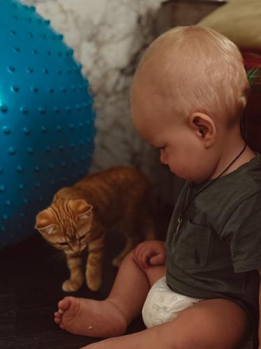 ���������� � ��������