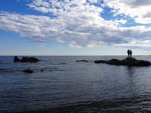 ���������.