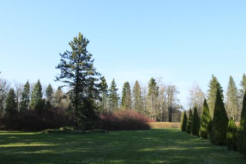 ������ ����, ������������� �����