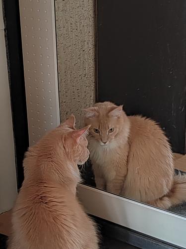 ������ � �����