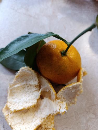 ���������� � ���������