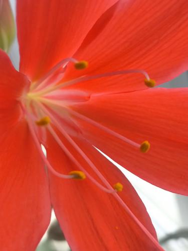 �������� ������