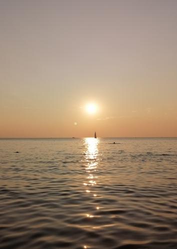 ����� �� �������