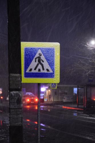 ��������� ����