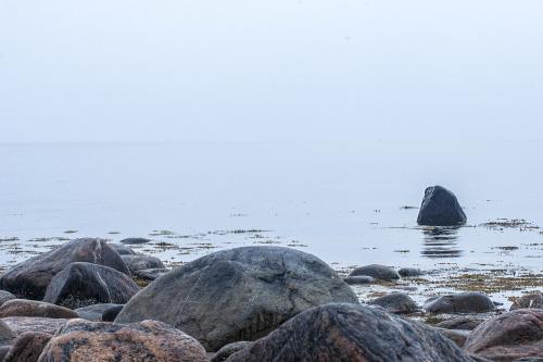 ����� ����