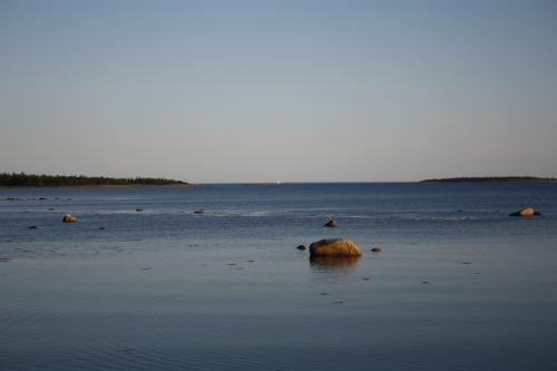 ����� ����. �������.