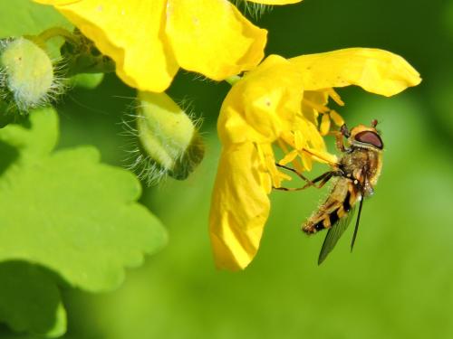 ��������