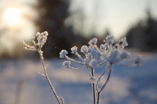 � �������� ����