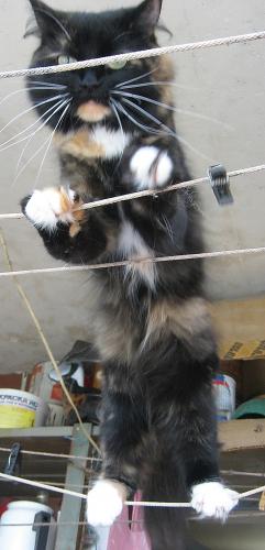 �������